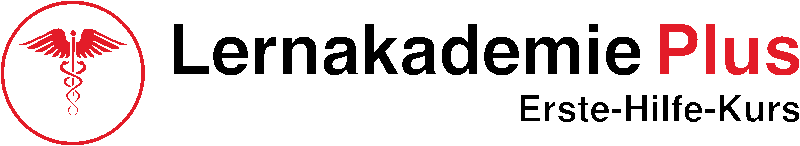 Erste-Hilfe-Kurs Online